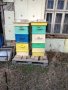 Продавам кошери 10 рамкови дадан блат , снимка 1 - За пчели - 44294471