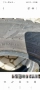Nokian TYRES snowproof  2бр., снимка 5