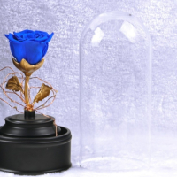 Вълшебна неувяхваща роза в стъкленица , снимка 1 - Декорация за дома - 44571182