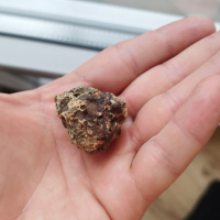 Метеорит, снимка 5 - Колекции - 44931564