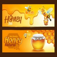 Продавам полифлорен пчелен мед букет 9 лв. на буркан 1 кг. с винтова капачка, снимка 10 - Пчелни продукти - 21270708