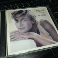 DIANA TRIBUTE X2 CD 0603241716, снимка 1 - CD дискове - 44638680