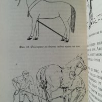 Отглеждане и болести при конете / И.Ченчев, снимка 3 - Специализирана литература - 38565707