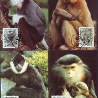 Виетнам 1987 - 4 броя Карти Максимум - WWF, снимка 1 - Филателия - 38890494