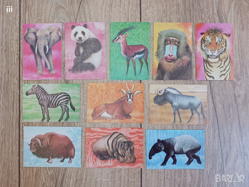 Календарчета с животни - за колекционери, снимка 1
