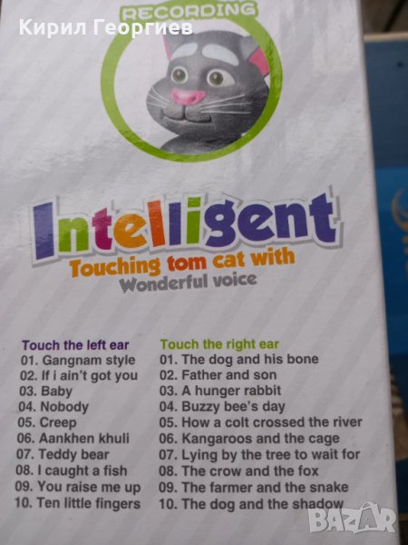 Интерактивна  играчка  говорещият  Том , снимка 1