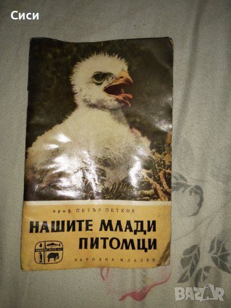 Нашите млади питомци, снимка 1