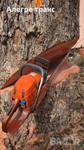 Рязане на дървета Пловдив и околието, снимка 2 - Градинска техника - 53350168