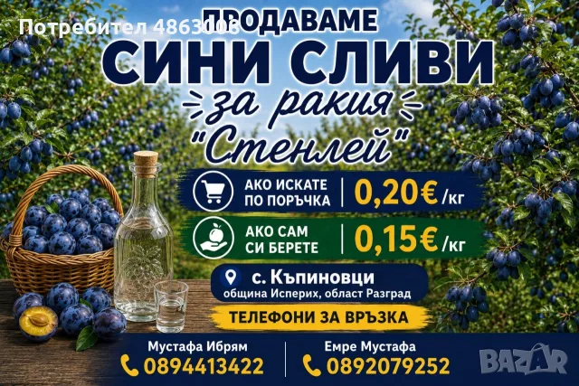 Сини сливи за ракия 
