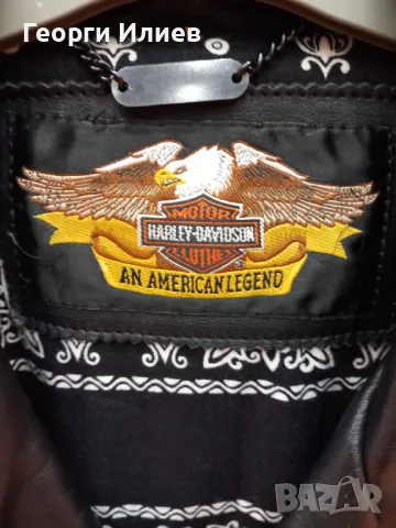 Estestvena koja, снимка 2 - Спортна екипировка - 48162308