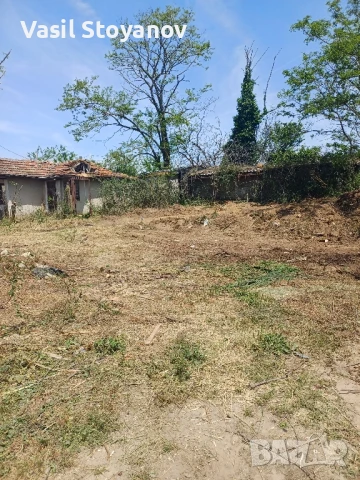 Косене на трева.Почистване на дворни места от храсти , дървета , снимка 15 - Други услуги - 50491395