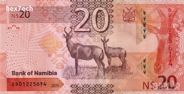❤️ ⭐ Намибия 2025 20 долара UNC нова ⭐ ❤️, снимка 3 - Нумизматика и бонистика - 52108240