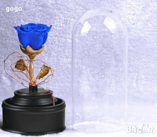 Вълшебна неувяхваща роза в стъкленица 