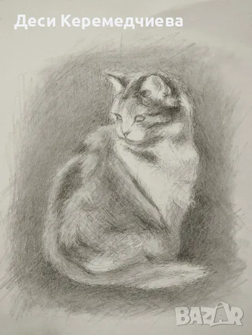 рисунки с моливи