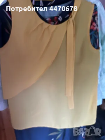 Две блузи Дика 38