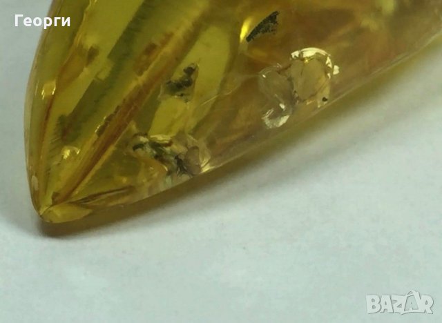 Най високо качество Балтийски кехлибар със запазени насекоми., снимка 8 - Други ценни предмети - 31554272