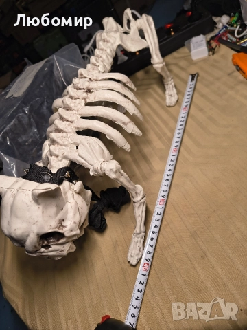 43 см декорация за Хелоуин с куче скелет на каишка , снимка 4 - Декорация за дома - 52637925