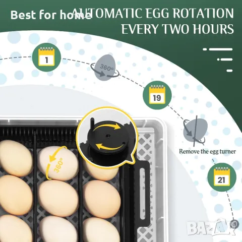 Инкубатор автоматичен Sailnovo 20 яйца, снимка 5 - За селскостопански - 47326759