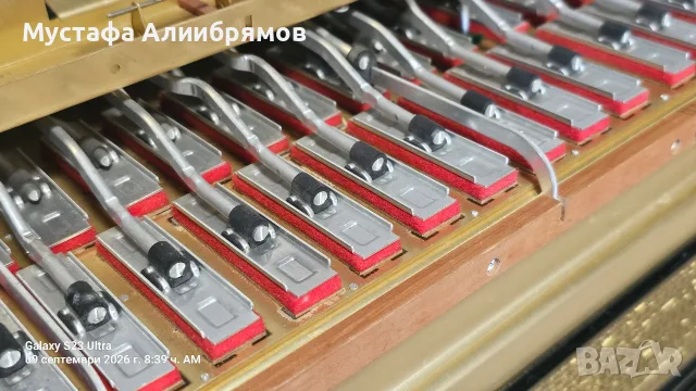 96 баса Hohner Lucia 3, снимка 6 - Акордеони - 56002683