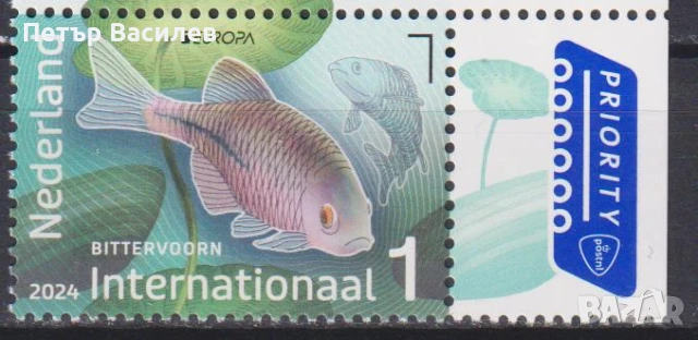 Чистa маркa Европа СЕПТ Риба 2024 от Нидерландия