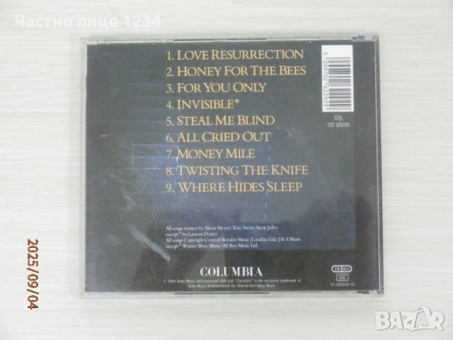 Mariah Carey - Tina Turner - Alison Moyet -  Janet Jackson, снимка 5 - CD дискове - 51612930