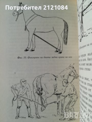 Отглеждане и болести при конете / И.Ченчев, снимка 3 - Специализирана литература - 38565707