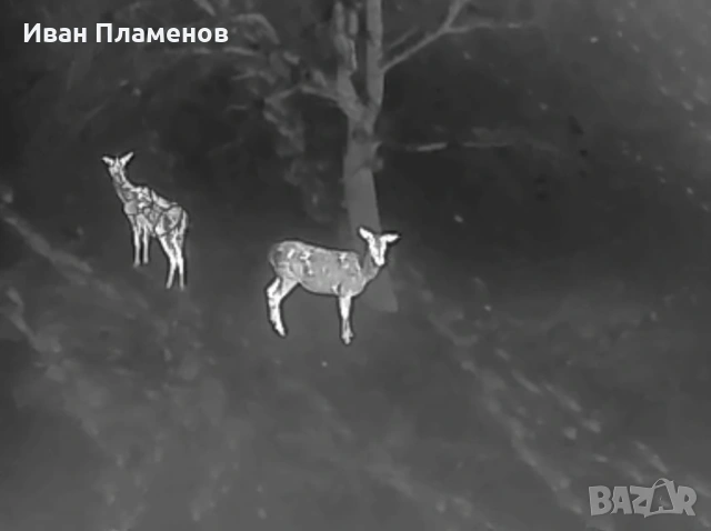 Услуги с термален термо дрон за нощно виждане ФЕЦ SAR Издирване на Хора Засичане Спасяване, снимка 2 - Други услуги - 53813380