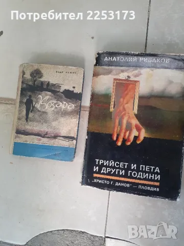 Две книги лот