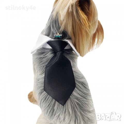 Вратовръзка за дребни, средни и едри породи кучета Кучешки вратовръзки Кучешка вратовръзка/папийонка, снимка 10 - За кучета - 32250633