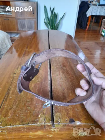 Стара кожена каишка за домашни животни, снимка 2 - Други ценни предмети - 47410744