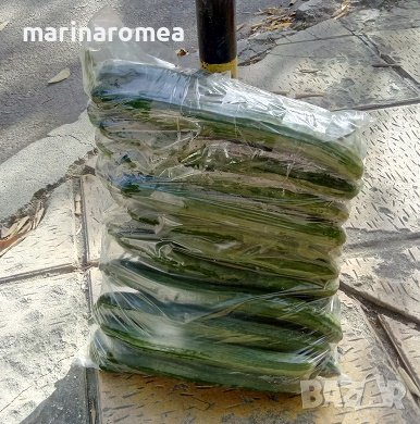 Чували за краставици, снимка 5 - Други - 42650153