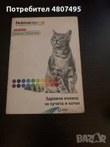 Продавам шотландски клепоухи малки котенца 😻, снимка 15 - Други - 54309809