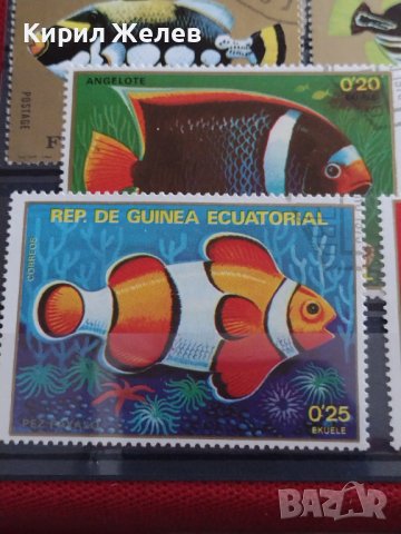 Пощенски марки две серии ЕКВАТОРИАЛНИ РИБИ ПЕРФЕКТНИ за КОЛЕКЦИЯ 37885 , снимка 8 - Филателия - 40476455