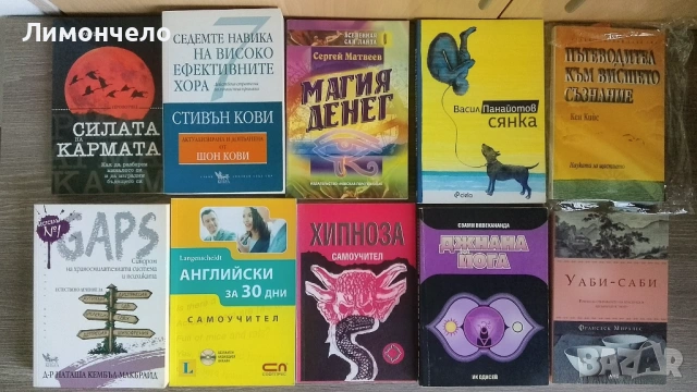 92 книги лот- езотерика, психология, здраве, окултизъм, магия, руски книги , снимка 10 - Езотерика - 54140136