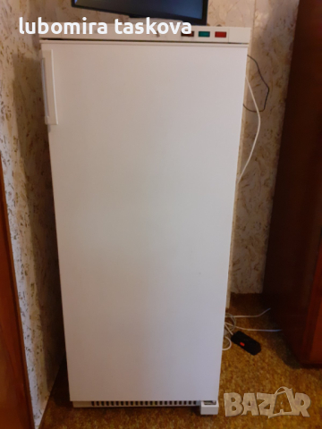 Продавам вертикален фризер и хладилник, снимка 3 - Хладилници - 44776110