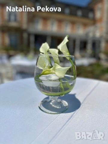 Стъклена купа за декорация , снимка 4 - Декорация за дома - 51136906