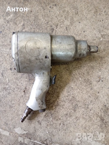 Гайковерт Японски  , голем квадрат