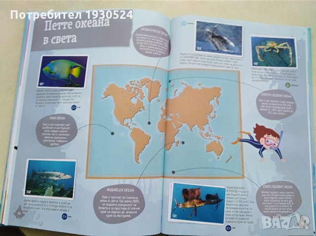 Колекционерски албум на Билла, снимка 9 - Колекции - 31797251