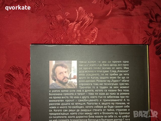 Лудост - Калин Терзийски , снимка 2 - Художествена литература - 36771547