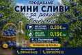 Сини сливи за ракия., снимка 1