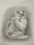 рисунки с моливи, снимка 1