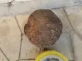СТАРО АНТИЧНО ГЮЛЕ 1/2 1908261059, снимка 5