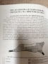 Дивечът / Ст.н.с. д-р Румен Петков , снимка 6
