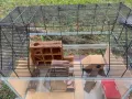 Голяма клетка за гризачи, снимка 1