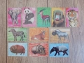 Календарчета с животни - за колекционери, снимка 1