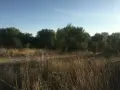 Склад ,земя и сгради, снимка 10