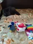 Малки персийски дългокосмести многоцветни домашни любимци!, снимка 10