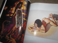 Mark E. Rogers artbook еротика , снимка 11
