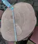 Дървен плот, дървени шайби , снимка 2