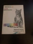 Продавам шотландски клепоухи малки котенца 😻, снимка 15